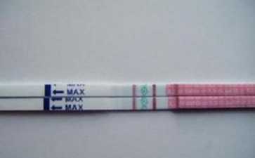 国际范儿！省政府发文，两年后保定将变成这样！这么多方面有福利