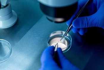 践行重要训词精神 | 保定公安一年来