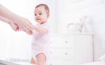 200多支队伍同台竞技！VEX机器人亚洲公开赛佛山全国邀请赛在石实开打