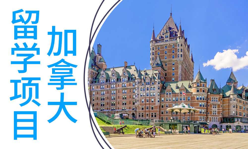 从天中出发的张新科 他眼中有星辰大海