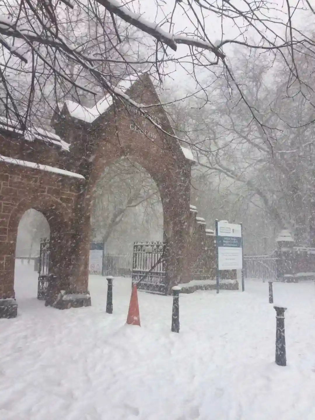 不屈于平凡之路，体育特长生留学商科得到英国名校青睐