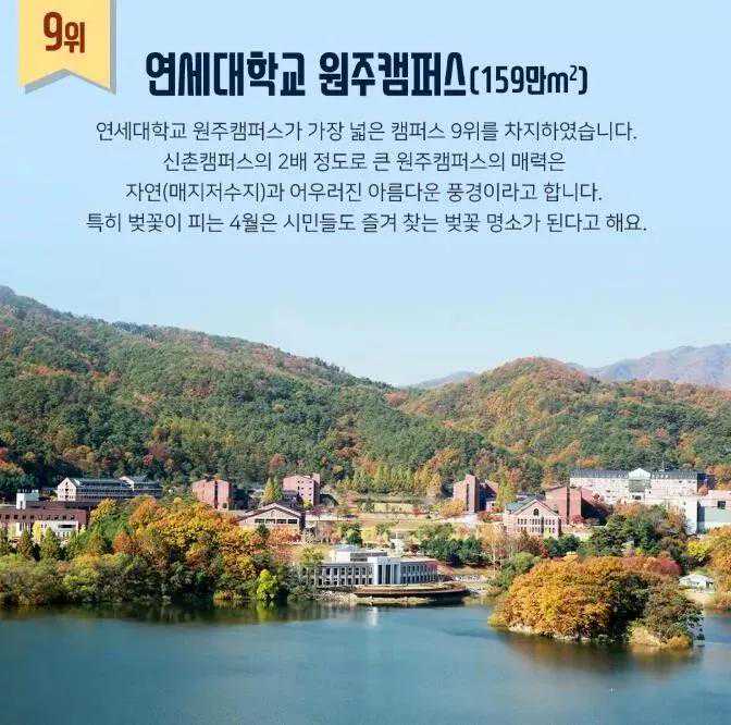 长沙飞东京、新加坡又有新选择，明年1月南航复航这些国际航线