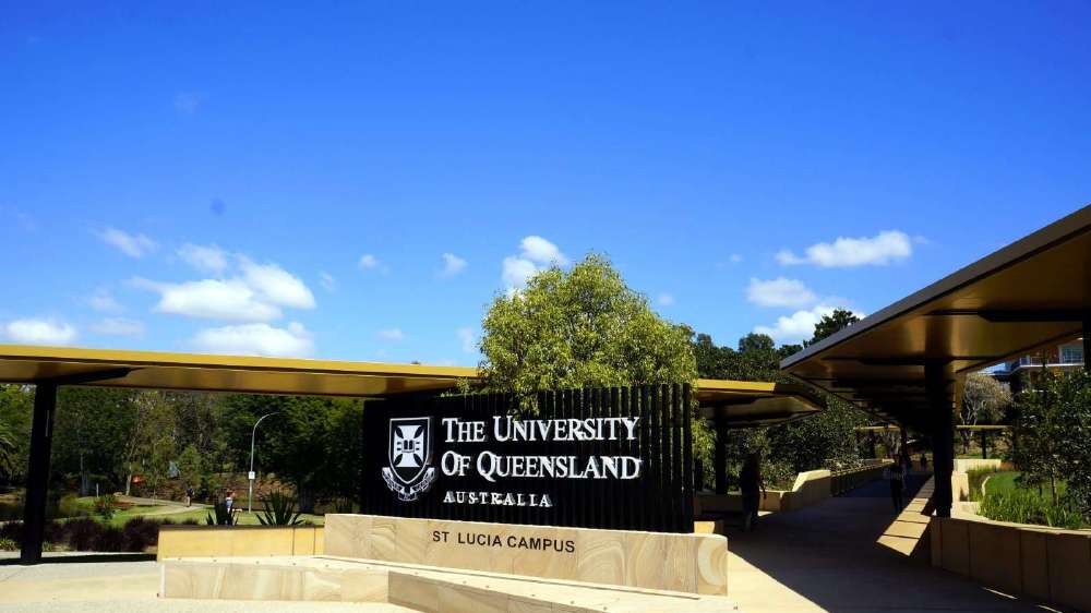 《余生，请多指教》他是林之校的白月光，才华横溢，结局输给顾魏