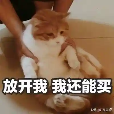 英国留学：英国省钱攻略之购物篇 | 英国有哪些平价的宝藏超市？