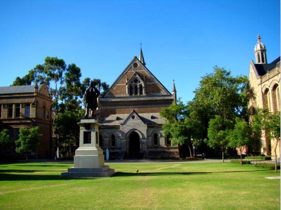 中国人民的爱国热情让我感动