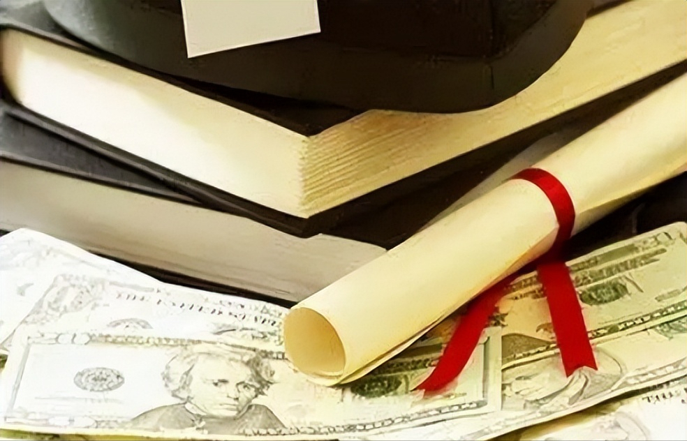 我自愿放弃我的绿卡, 只求允许我出境回国! ”你怎么看？