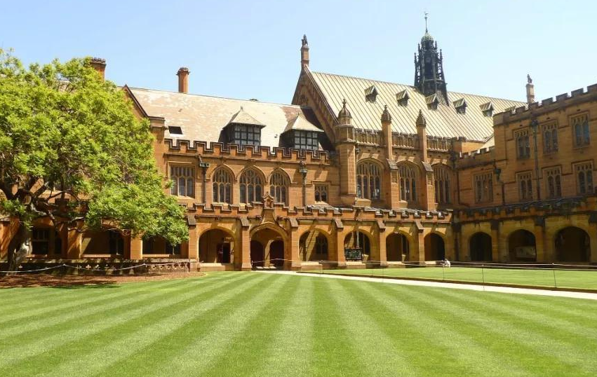 年销售超50亿元，武汉的它们火到海外